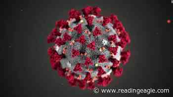 Berks adds 307 COVID cases; new delta hospitalizations high - Reading Eagle