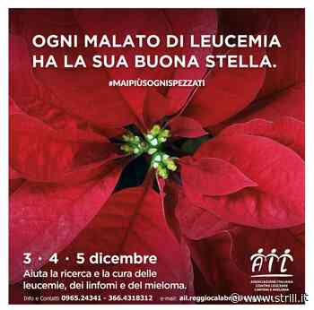 Reggio Calabria – Le stelle di Natale dell'Ail tornano a colorare le piazze - Strill.it