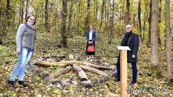 Liebevolle Bestattungsplätze und neuer Waldbodenplatz im Rasdorfer Friedhofswald - HNA.de