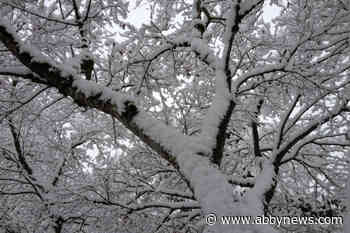 Several centimetres of slushy snow to fall in Chilliwack, Abbotsford – Abbotsford News - Abbotsford News