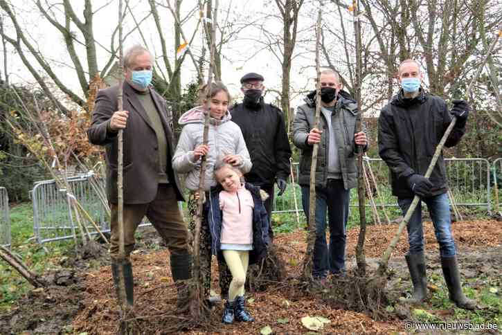 Zemstenaars zijn koploper in het aanplanten van groen