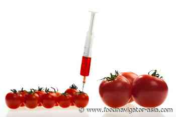GM in NZ: Food industry backs regulator's push to update regulations amid tech advances - FoodNavigator-Asia.com
