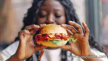 Are humans at the top of the food chain? - Livescience.com