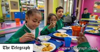 Why is school food all so... beige? - Telegraph.co.uk