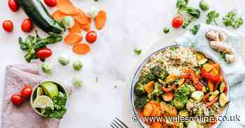 What will be the UK's food trends for 2022 - WalesOnline