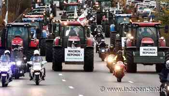 Angus Woods: If farmers don't join eco schemes, we'll soon be offered a smaller carrot and hit with a bigger stick - Farm Ireland