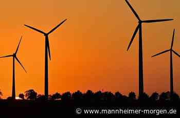 Beteiligungshaushalt: Mannheim plant Neuauflage - Mannheim - Nachrichten und Informationen - Mannheimer Morgen