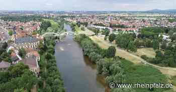 Am Neckar gibt es was zu tun - Mannheim - Rheinpfalz.de