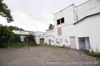 Stadt Mannheim will kräftig Flächen fürs Wohnen kaufen - Mannheim - Nachrichten und Informationen - Mannheimer Morgen