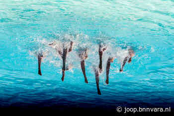 Vaccinweigeraars halen kinderen massaal van zwemles - Joop
