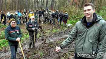 Käufer von Kohle-Uhren pflanzen Bäume in Kirchheller Heide - Westdeutsche Allgemeine Zeitung