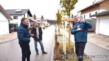 Tittmoning: Vom Baugebiet zum Wohnquartier Begrünung des Pillerfelds schreitet voran - chiemgau24.de