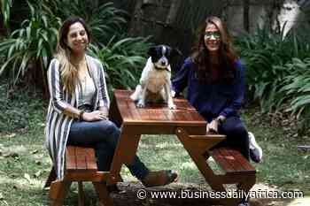 City gardener growing all her veggies, herbs - Business Daily