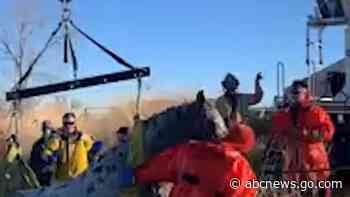WATCH:  Horse rescued from icy lake in Colorado