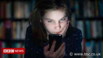 Online Safety Bill : What to expect
