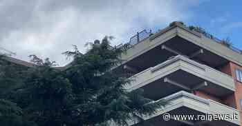 Omicidio-suicidio a Prato - Cronaca - TGR Toscana - TGR – Rai