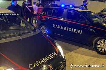 Controlli nei luoghi della movida, in campo anche i Carabinieri di Trani - TraniViva