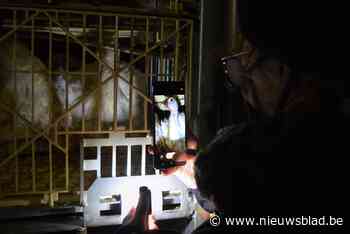 Animal Rights houdt stille wake aan kalkoenslachterij: “We willen de dieren een gezicht geven”