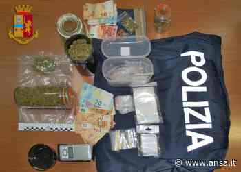 Droga: ha 300 grammi di marijuana, arrestato a Matera - Agenzia ANSA