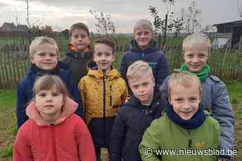 Zes vrienden verkopen warme kaartjes voor Lou en Sete