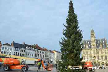 Oudenaarde krijgt grote kerstboom van zusterstad: “En met animatie en ijspiste toch sfeervol eindejaar”