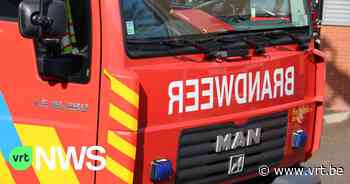 Brand in Beringen: bewoners bevangen door rook, hun kat overleefde de brand niet - VRT NWS