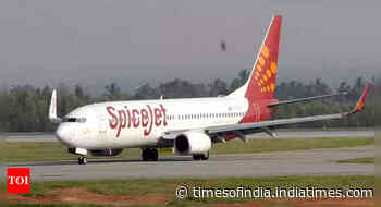 Madras HC orders winding up of SpiceJet over dues