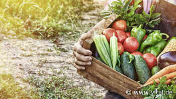 Das passiert, wenn Sie täglich Bio-Lebensmittel essen - Vital
