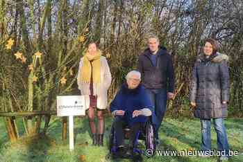 Wereldlichtjesdag voor overleden kinderen in een ‘light’ versie