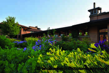 DECEMBER LAM: ALONG THE EDGE - Landscape Architecture Magazine