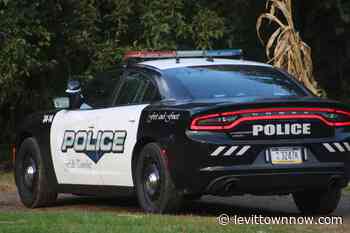 Police Log: $5,100 Taken In Retail Theft, Disorderly Conduct & More - LevittownNow.com