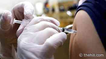 Mixing certain COVID-19 vaccines provides better immune response: British researchers