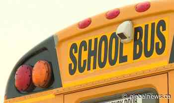 School bus driver dead after crashing into trees in Norfolk County: OPP