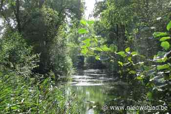 Nieuwjaarsbrief GroenRand: “Een natuurplan voor elke gemeente”