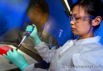 Southcoast Health fires 200+ employees concerning vaccine mandate – Fall River Reporter - Fall River Reporter