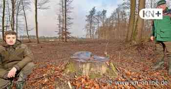 Der Wald in Schleswig-Holstein als Klimaschützer