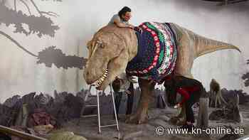 T-Rex mit „Christmas Jumper“: Man ist nie zu alt für einen Weihnachtspulli