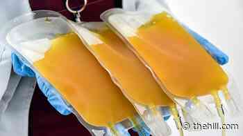 WHO strongly advises against convalescent plasma to treat COVID-19 patients