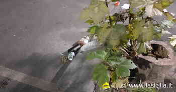 Catania: incivile deposita rifiuti in via Lago di Nicito - La Sicilia
