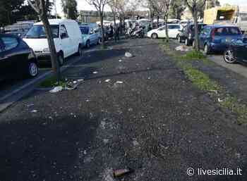 Catania, controlli al mercatino delle pulci: sanzioni - Live Sicilia