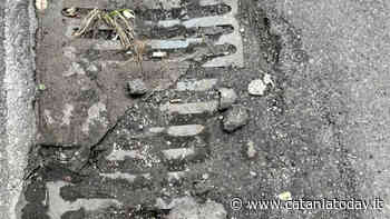 Tanti tombini ancora otturati a Catania, le segnalazioni del comitato "CataniaNostra" - CataniaToday