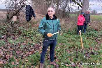 Kwakkelweer en corona houden vrijwilligers thuis van aanplanting Dornbos