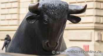 Tipp von Klaus Brune, Platow: "Crash? Welcher Crash?" – Oder eher „Wasser auf die Mühlen der Bullen“?