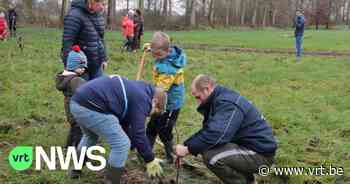 1.250 bomen geplant in Geetbets: "En dat is nog maar het begin" - VRT NWS