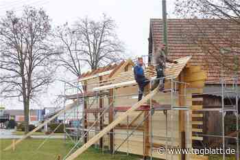 Bauwerk gegen das Artensterben - Schwäbisches Tagblatt