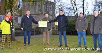 Kreisstadt Neunkirchen erhält Förderzusage für Projekt „Freund Straßenbaum“ - Saarbrücker Zeitung
