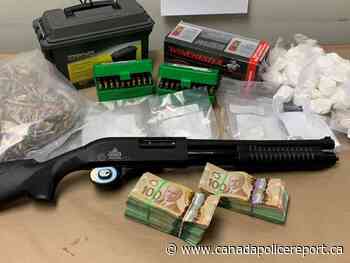 Lethbridge Police seize more than $200000 in drugs and proceeds of crime - Canada Police Report
