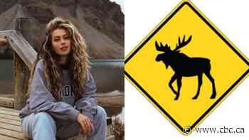 Calgary Tiktoker designs Canada's new moose crossing sign 'out of boredom'