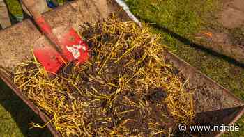 Mist-Management - NDR.de