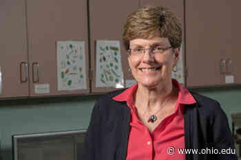 Morgan Vis, Nukhet Sandal named associate deans in College of Arts and Sciences - Ohio University